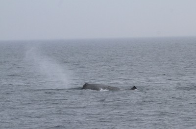 IMG_7756.jpg