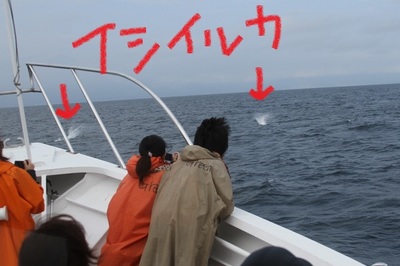 IMG_779900.jpg