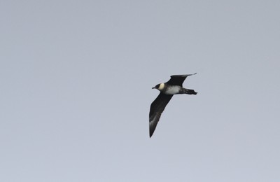 IMG_7830.jpg