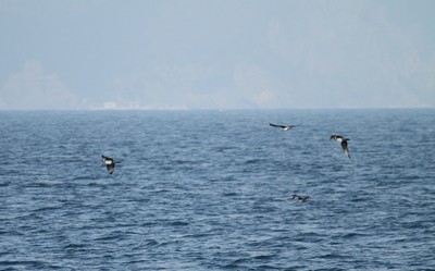 IMG_7836.jpg