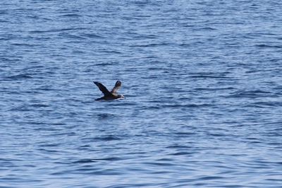 IMG_7844.jpg