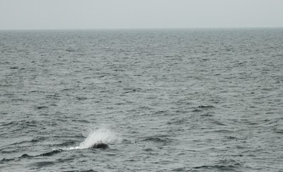 IMG_7855.jpg