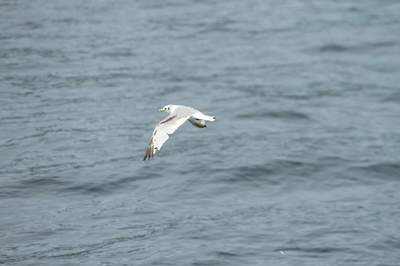 IMG_7896.jpg