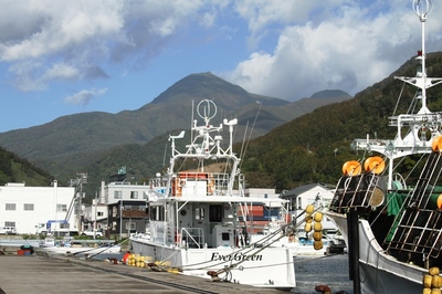 IMG_7907.jpg