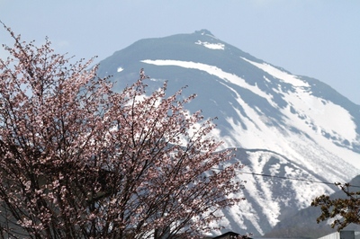 IMG_7982.jpg