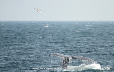 IMG_7993.jpg