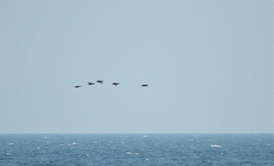 IMG_8014.jpg