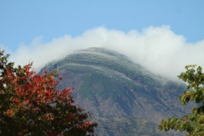 IMG_8210.jpg