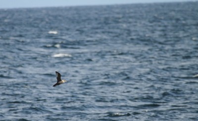 IMG_8275.jpg