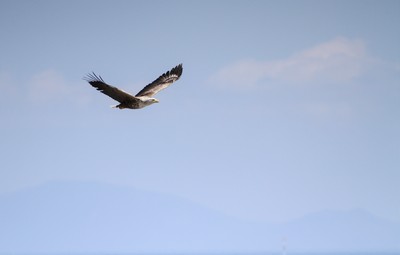 IMG_8281.jpg