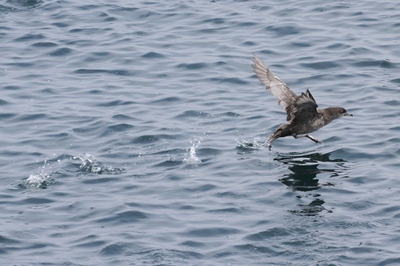 IMG_8340.jpg