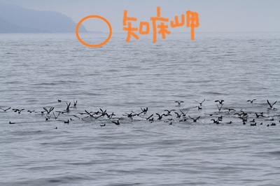 IMG_8356.jpg
