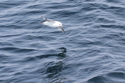 IMG_8361.jpg