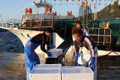 IMG_8380.jpg