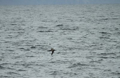 IMG_8437.jpg