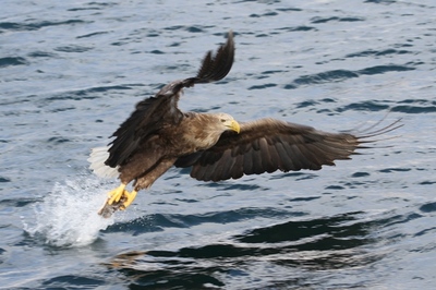 IMG_8537.jpg