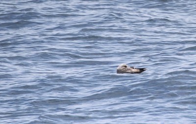 IMG_8552.jpg