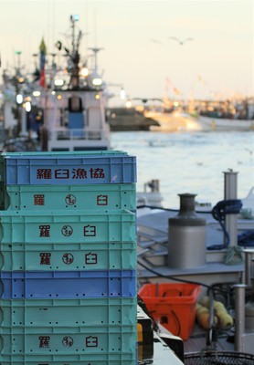 IMG_8592.jpg