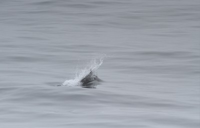 IMG_8604.jpg