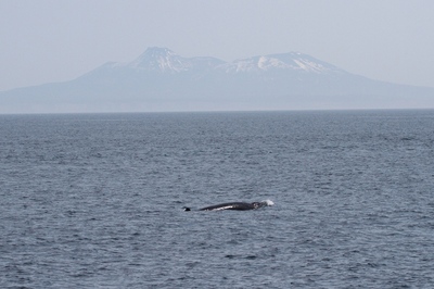 IMG_8784.jpg