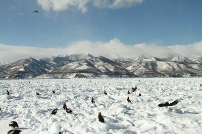IMG_8788.jpg