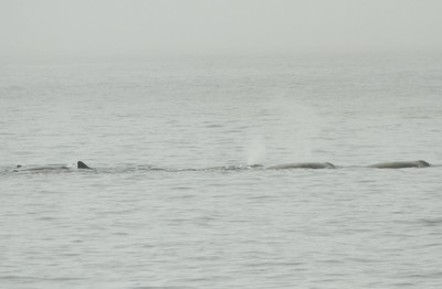 IMG_8800.jpg