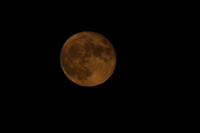 IMG_8919.jpg