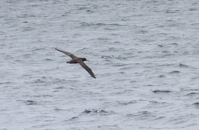IMG_8920.jpg