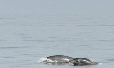 IMG_8937.jpg
