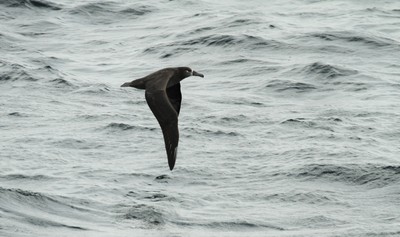 IMG_8940.jpg