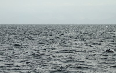 IMG_8964.jpg
