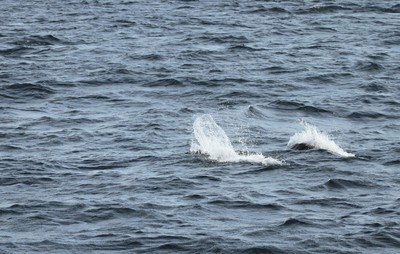 IMG_9059.jpg