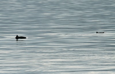 IMG_9157.jpg