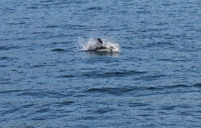 IMG_9202.jpg
