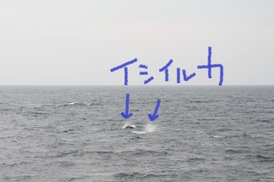 IMG_9343.jpg