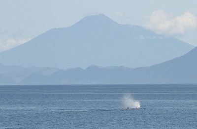 IMG_9419.jpg