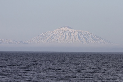 IMG_9430.jpg