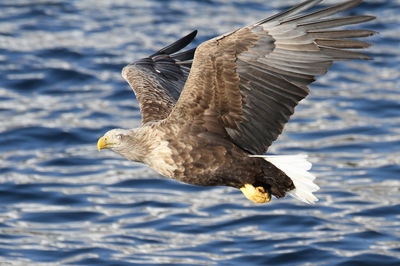 IMG_9441.jpg