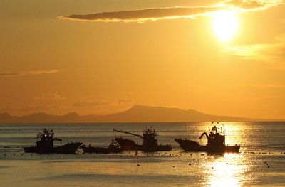 IMG_9699.jpg