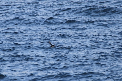 IMG_9863.jpg