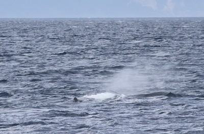 IMG_9905.jpg