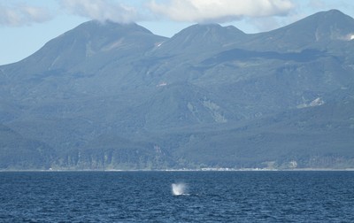 IMG_9989.jpg