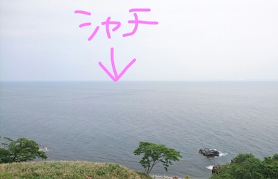 InkedDSC_8729_LI.jpg