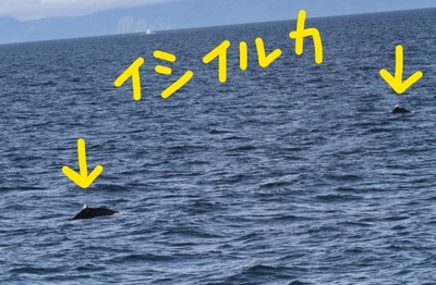 InkedIMG_3887_LI.jpg