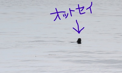 InkedIMG_7572_LI.jpg