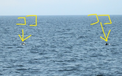 InkedIMG_7784_LI.jpg