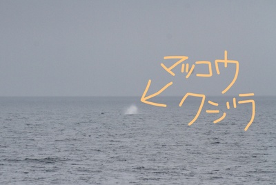 InkedIMG_7878_LI.jpg