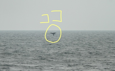 InkedIMG_7886_LI.jpg