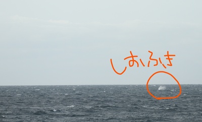 InkedIMG_8976_LI.jpg