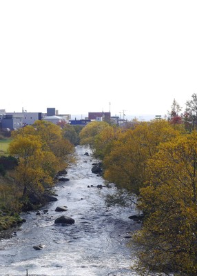 P10900441.jpg
